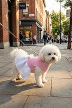 Dog Dress Crochet Pattern