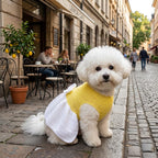 Dog Dress Crochet Pattern