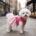 Dog Dress Crochet Pattern