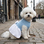 Dog Dress Crochet Pattern