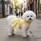 Dog Dress Crochet Pattern
