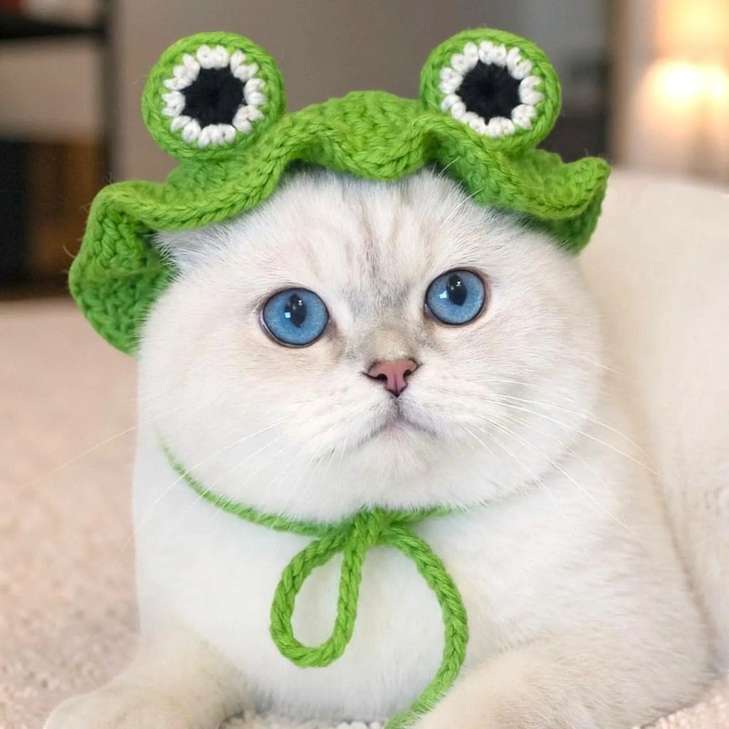 Frog Hat Crochet Pattern