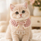 Cat & Dog Neck Collar Crochet Pattern