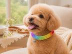 Striped Pet Collar Crochet Pattern