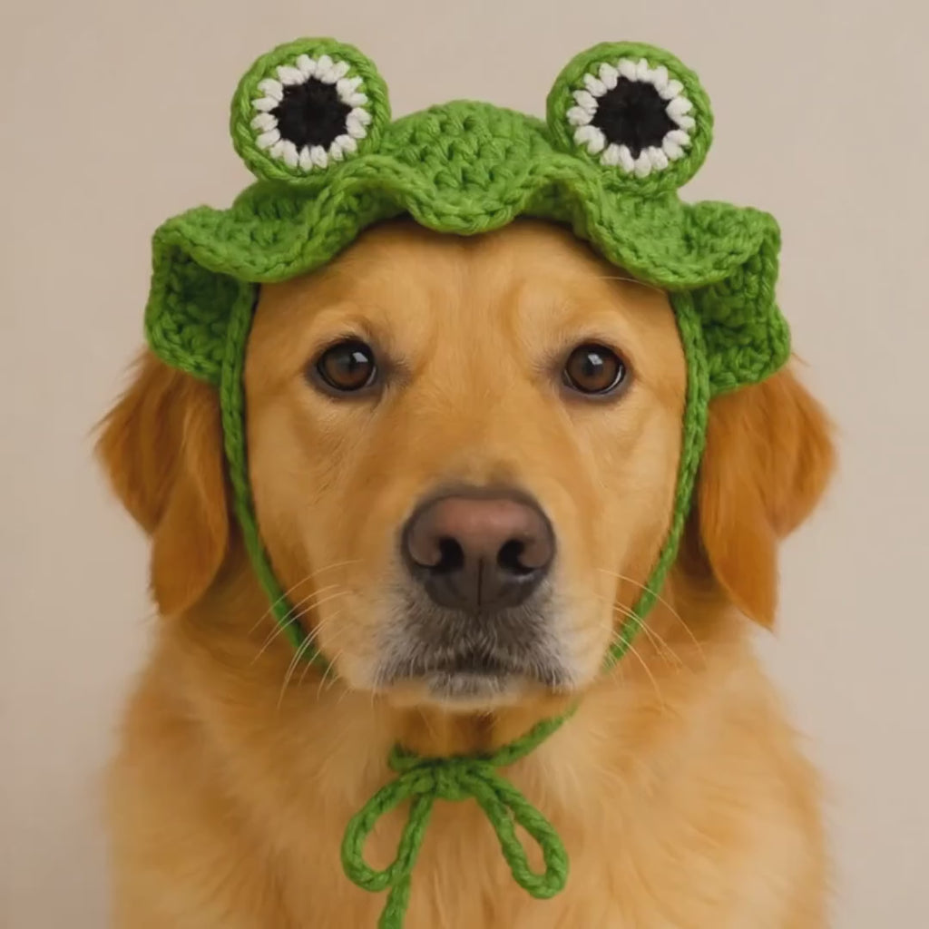 Frog Hat Crochet Pattern