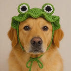 Frog Hat Crochet Pattern